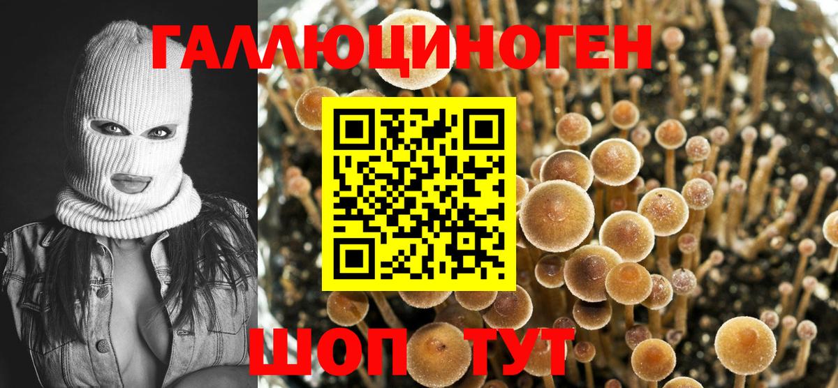 Коркино  дарнет шоп  Вход с VPN  Псилоцибиновые грибы ЛСД 